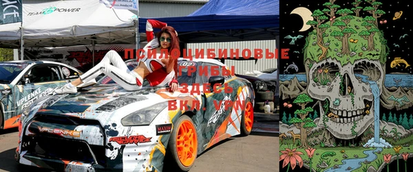 гидра Лагань