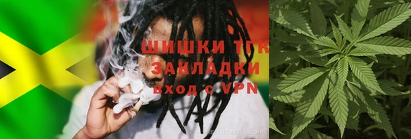 гидра Лагань