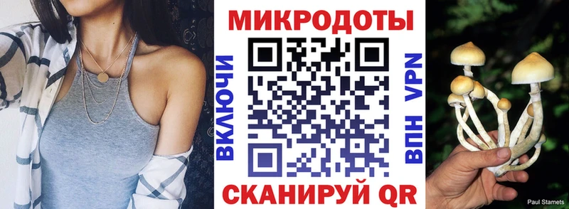 Купить закладки  Евпатория  Псилоцибиновые грибы Psilocybine cubensis 